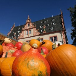 Logo_Bauernmarkt