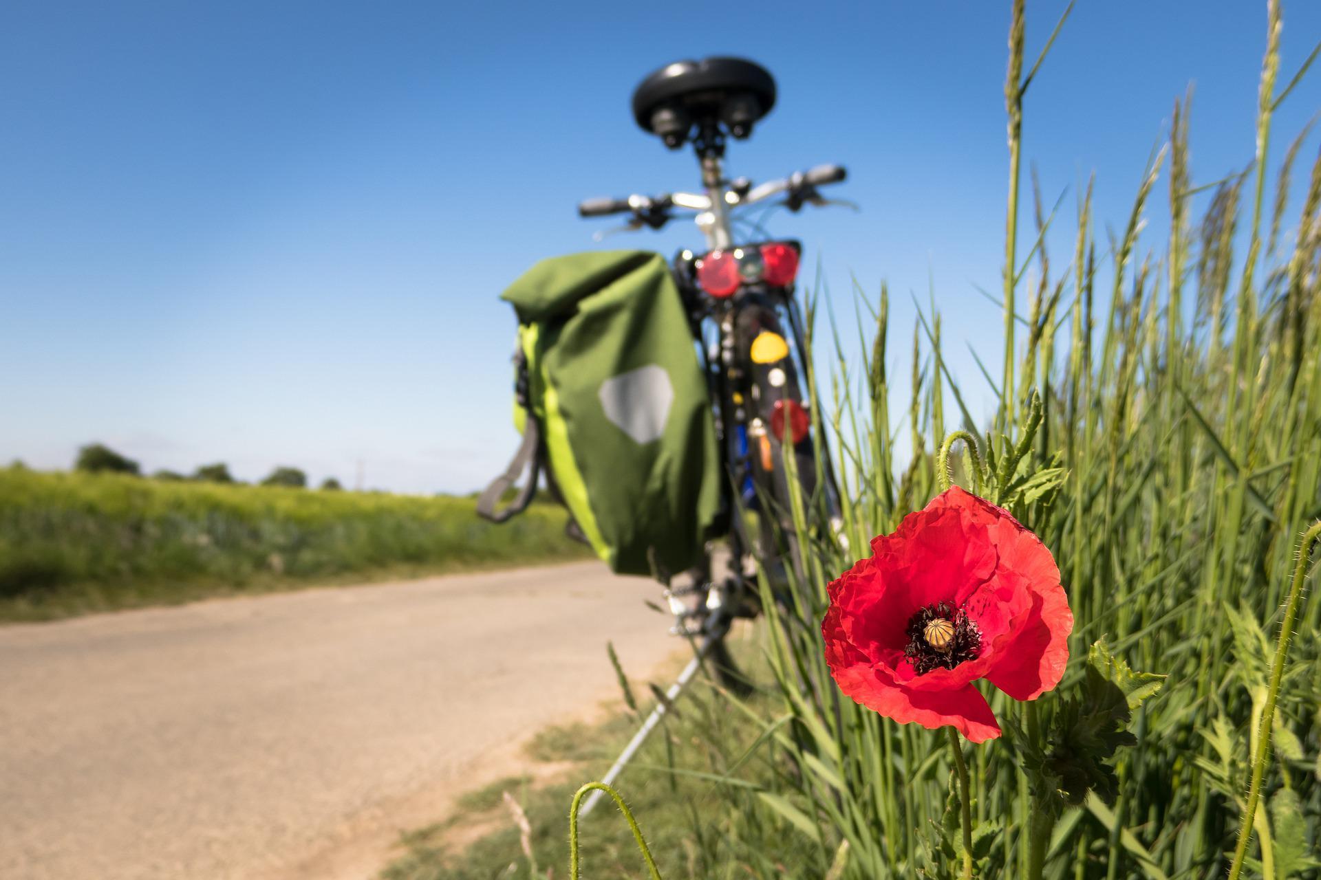 Fahrrad am Feldweg Fahrrad am Feldweg mit Klatschmohn