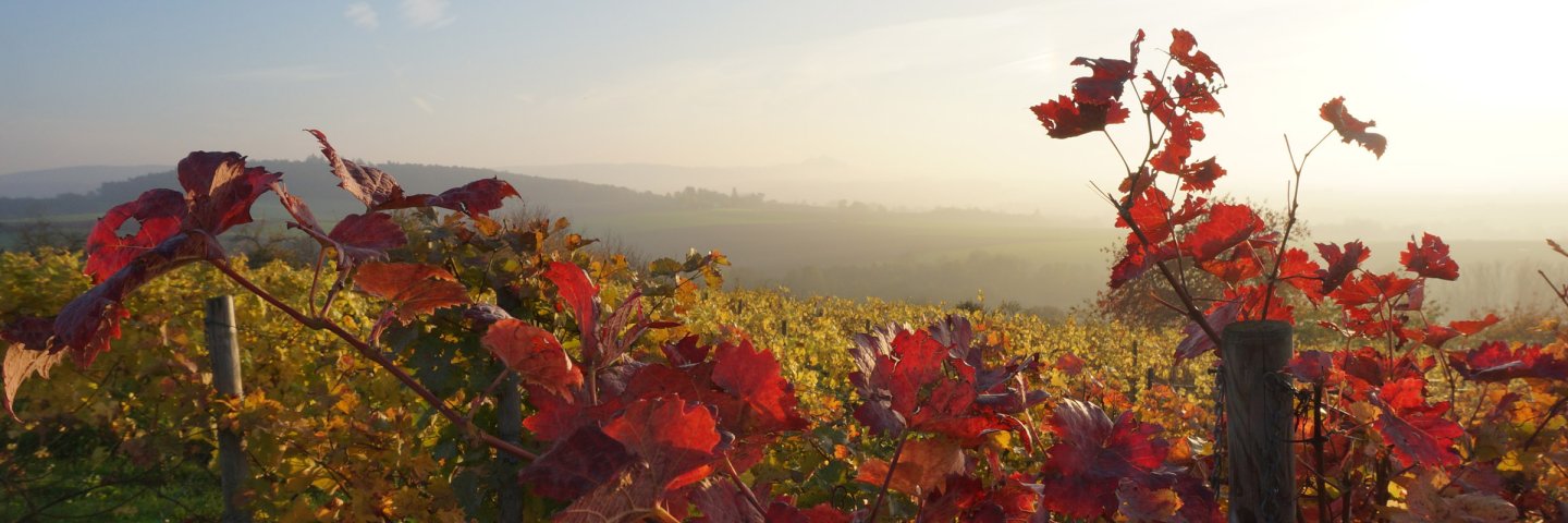 Stadtprofil GroßUmstadt Website