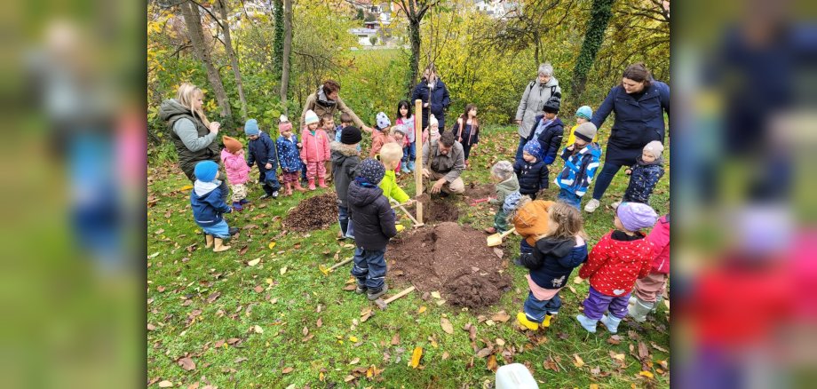 Die Kinder der Kita Raibach pflanzen einen Apfelbaum