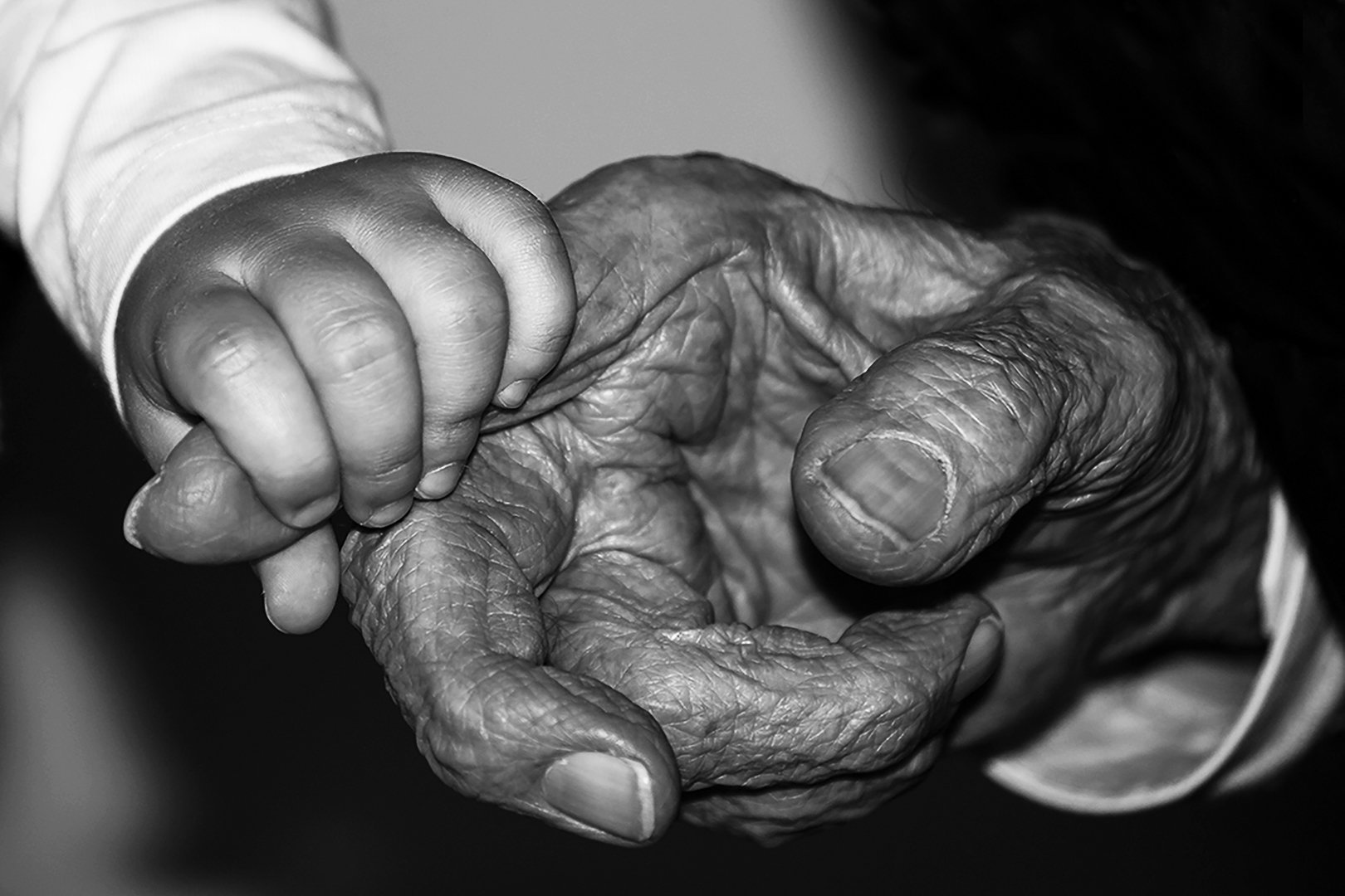 Hände von Wilfried Niepoth