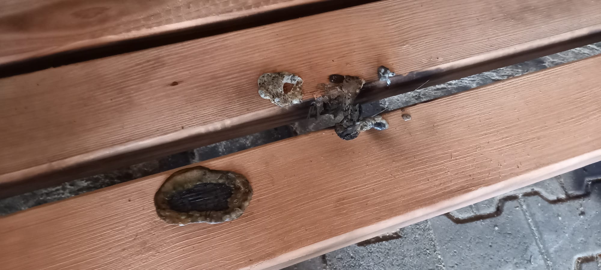 Beschädigung an Sitzfläche in neuer Waldhütte