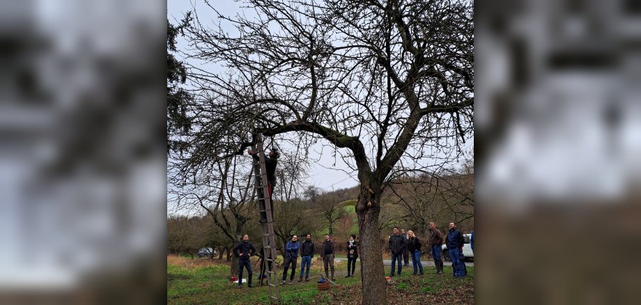 Obstbaumschnittkurs