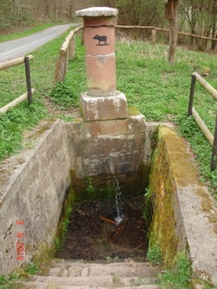 Sommerexpedition Stein und Wein