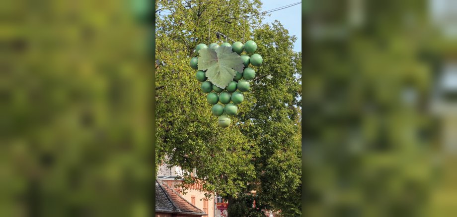 Weintraube als Symbol für das Winzerfest