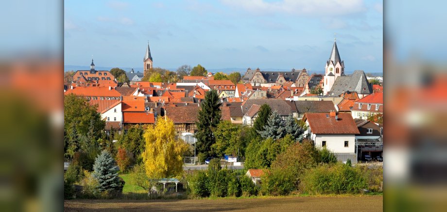 Umstadtblick über die Dächer