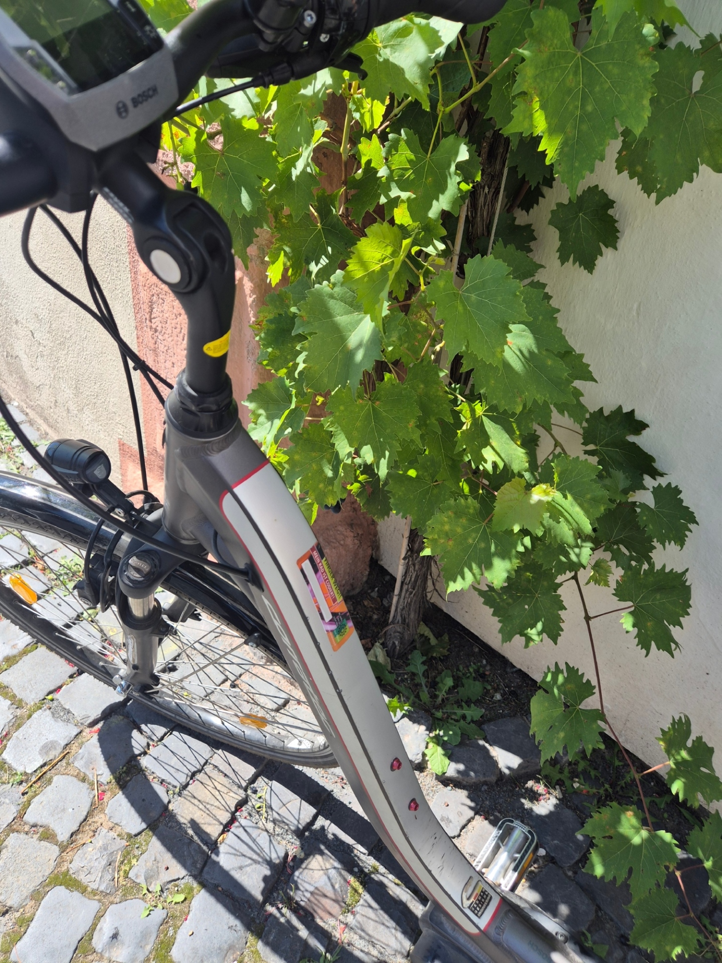 Fahrradcodierung am Rahmen