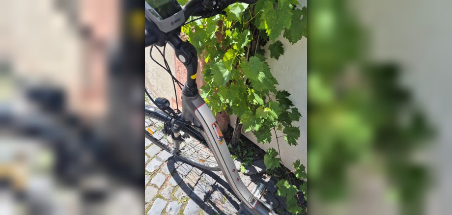 Fahrradcodierung am Rahmen