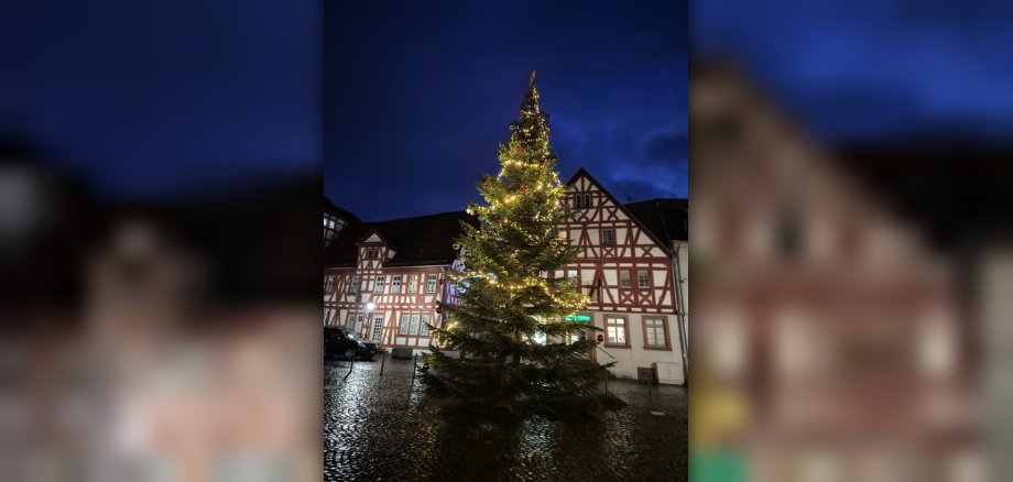 Weihnachtsbaum