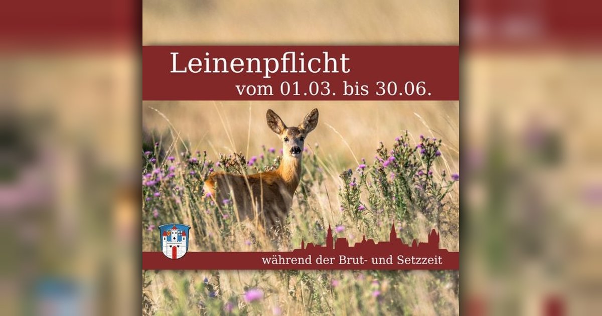 Leinenpflicht für Hunde während der Brut- und Setzzeit | Groß-Umstadt