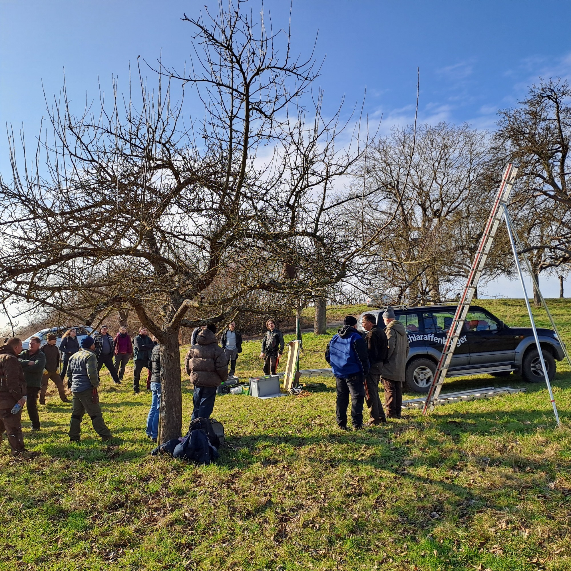 Obstbaumschnittkurs Teilnehmer bei sonnigem Wetter
