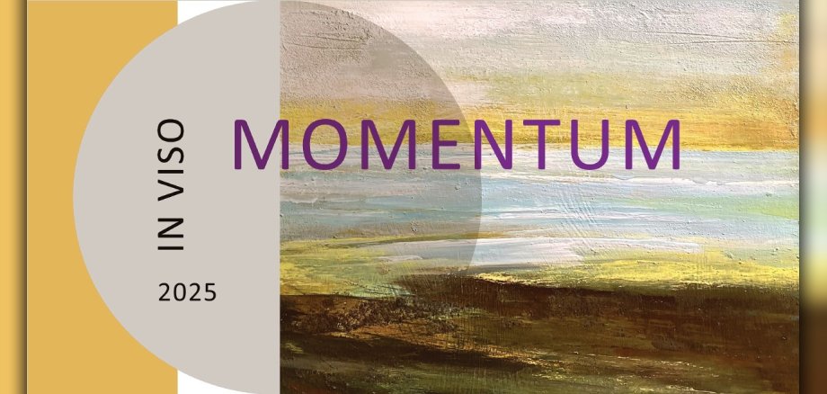 Logo: In Viso Ausstellung Momentum