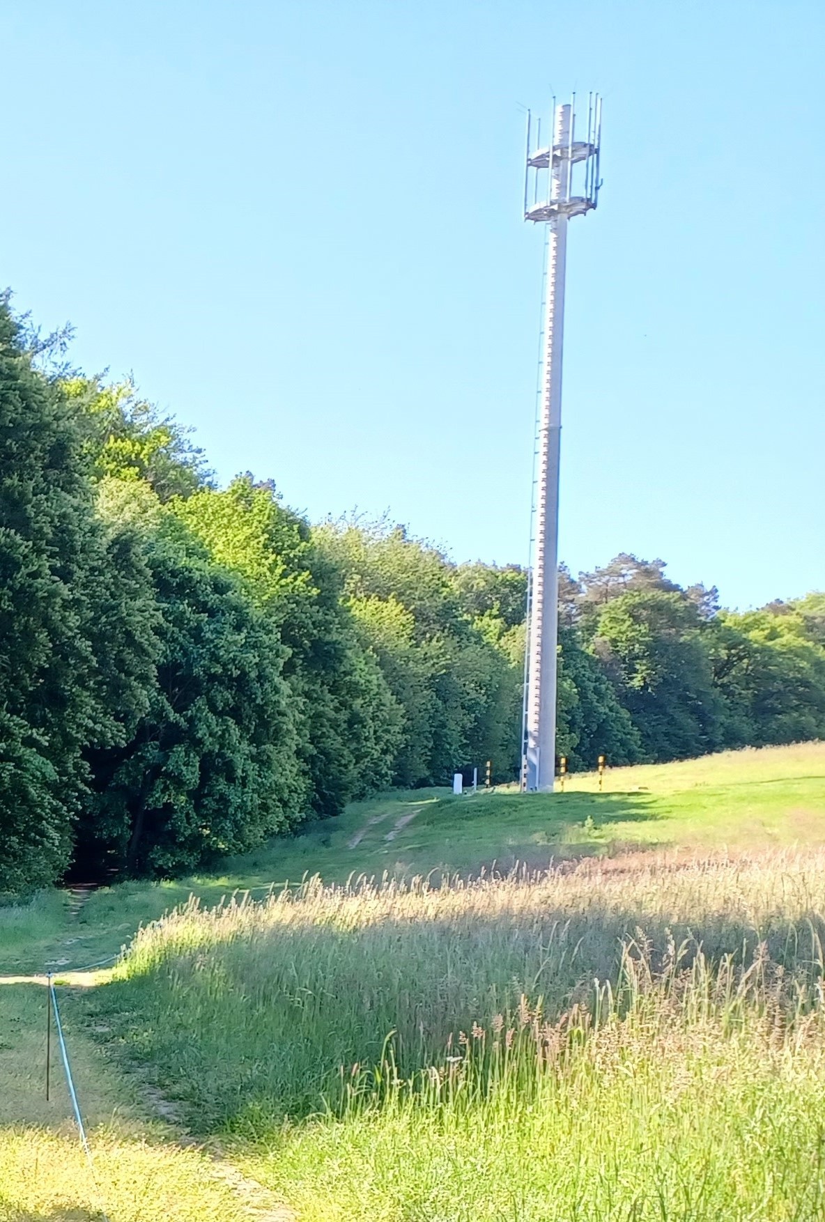 Funkturm am Waldrand