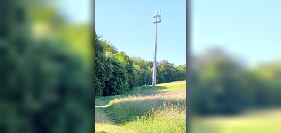 Funkturm am Waldrand