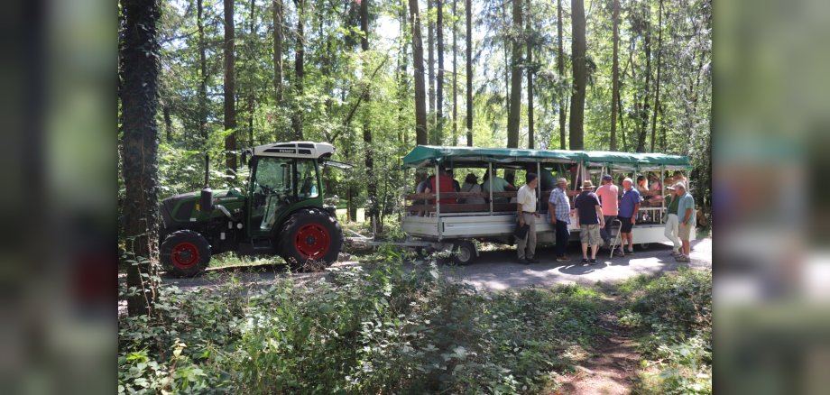 Foto Planwagenfahrt Sommerexpedition