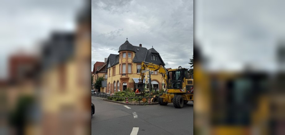 Baumfällarbeiten der alten Linde am Tivoli