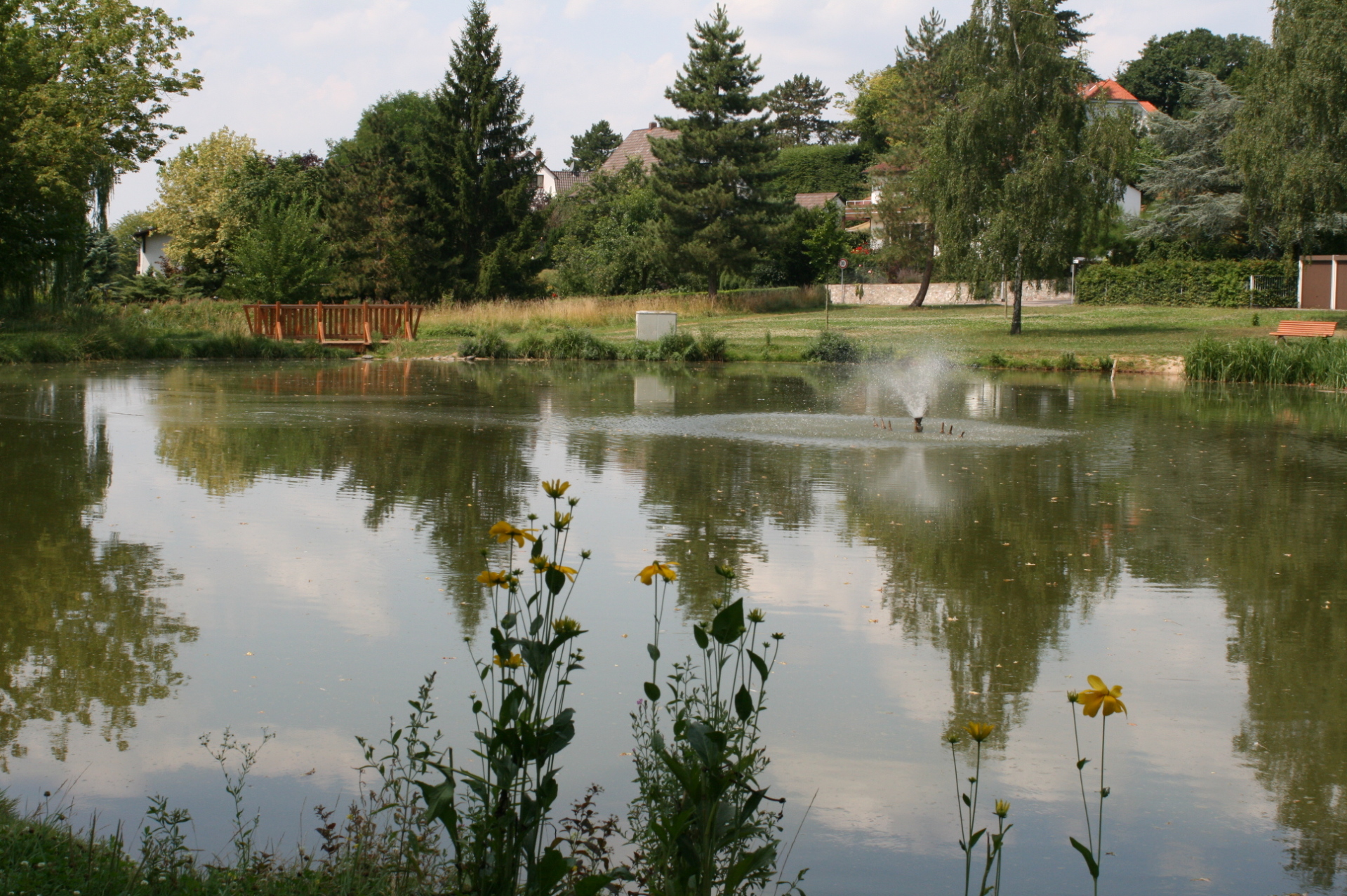 Teich an der Bleiche