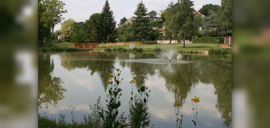 Teich an der Bleiche