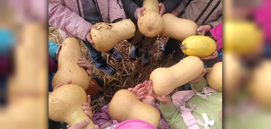 Kürbisse in Kinderhänden