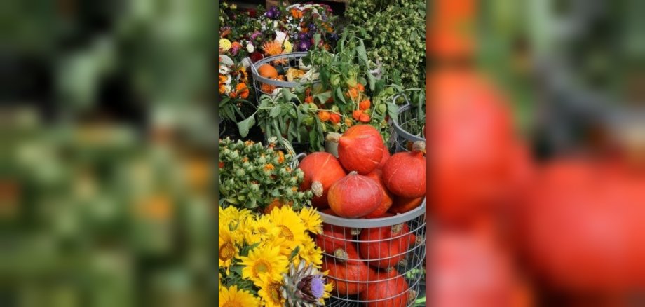 Heimische Ernte auf dem Bauernmarkt präsentiert: Kürbisse, Blumen, Gemüse, Obst