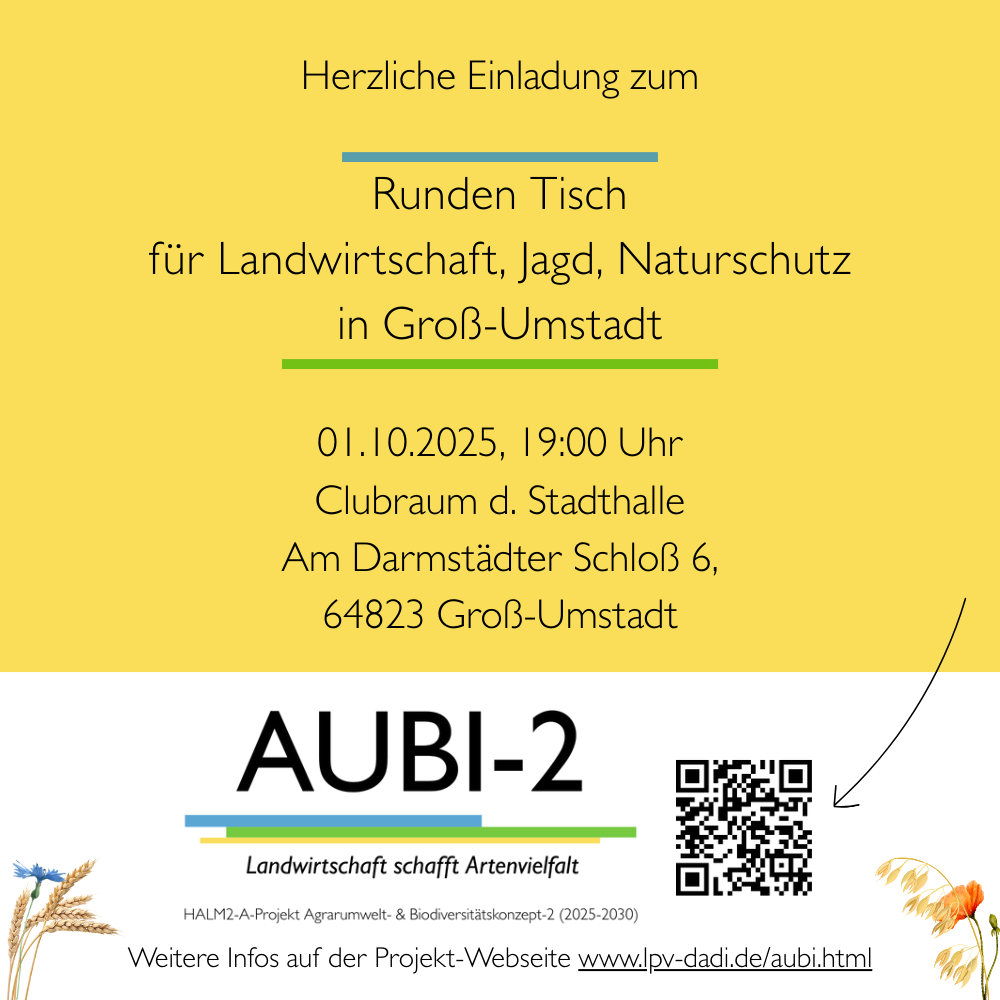 Plakat Einladung zum Runden Tisch in Groß-Umstadt