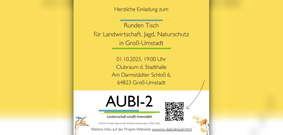 Plakat Einladung zum Runden Tisch in Groß-Umstadt