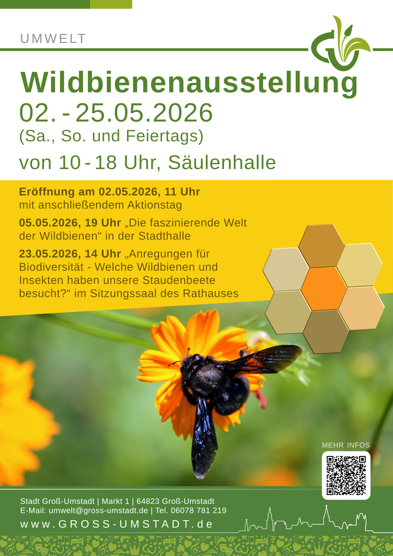2026_Umwelt_Wildbienen Ausstellung