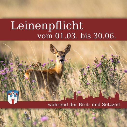 Leinenpflicht