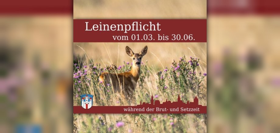 Leinenpflicht