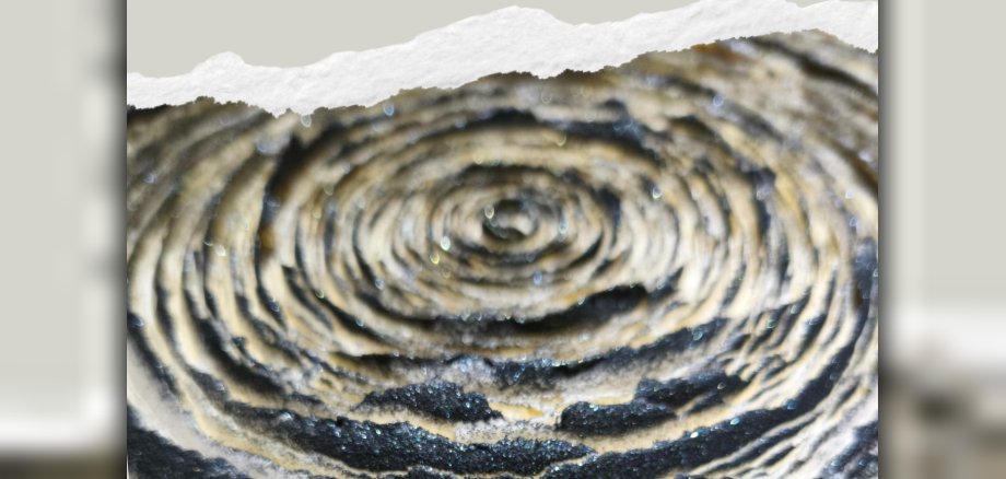 Plakat Manifest ohne Urteil