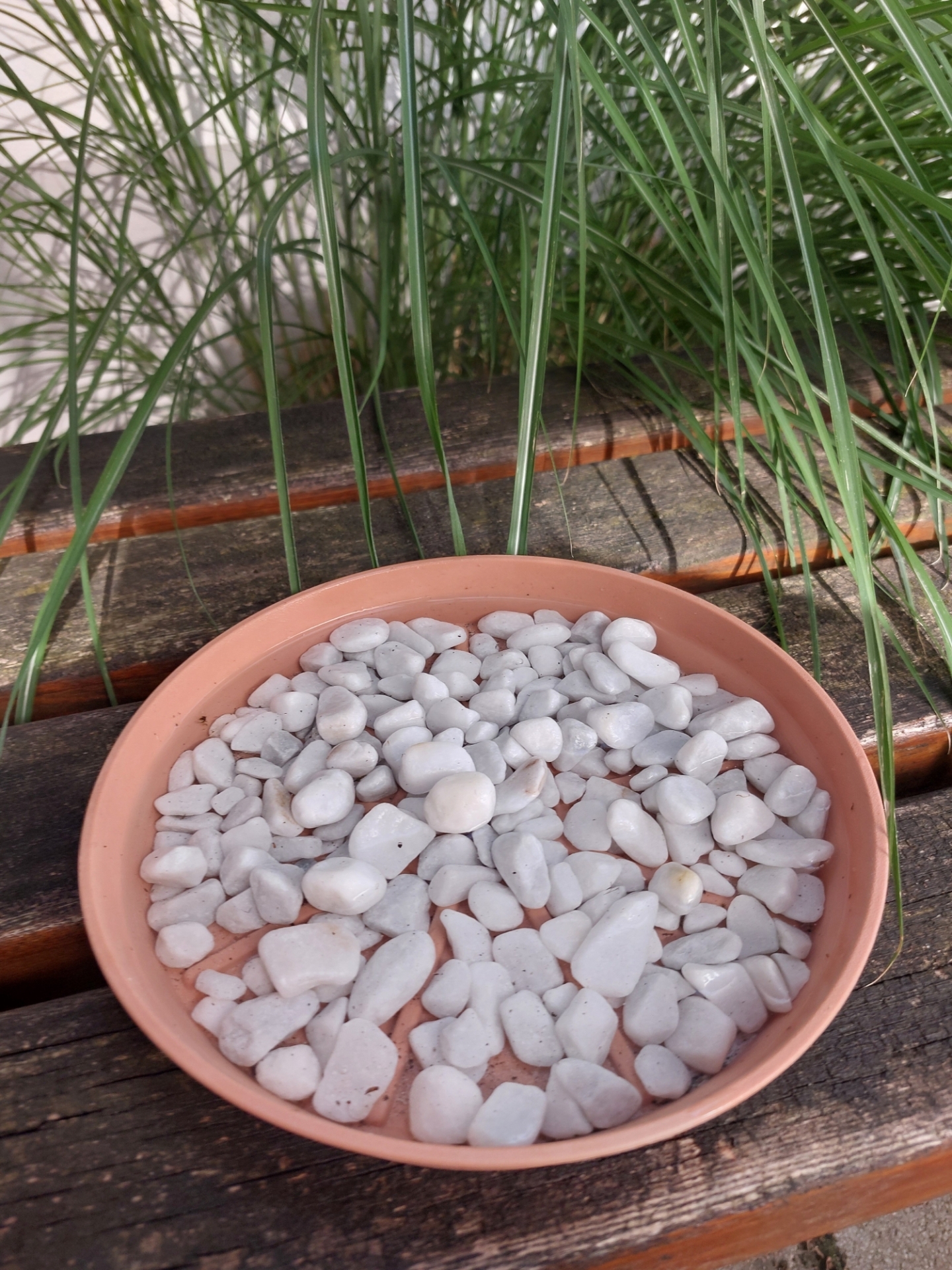 Wasserschale für Insekten und Vögel