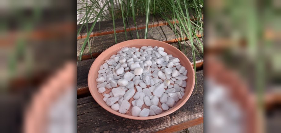 Wasserschale für Insekten und Vögel