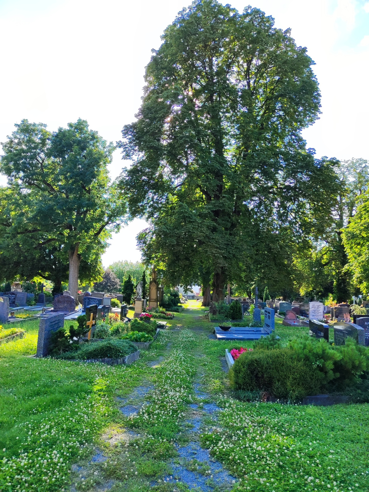 Stadtfriedhof