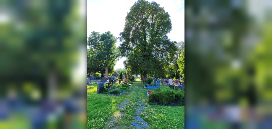 Stadtfriedhof