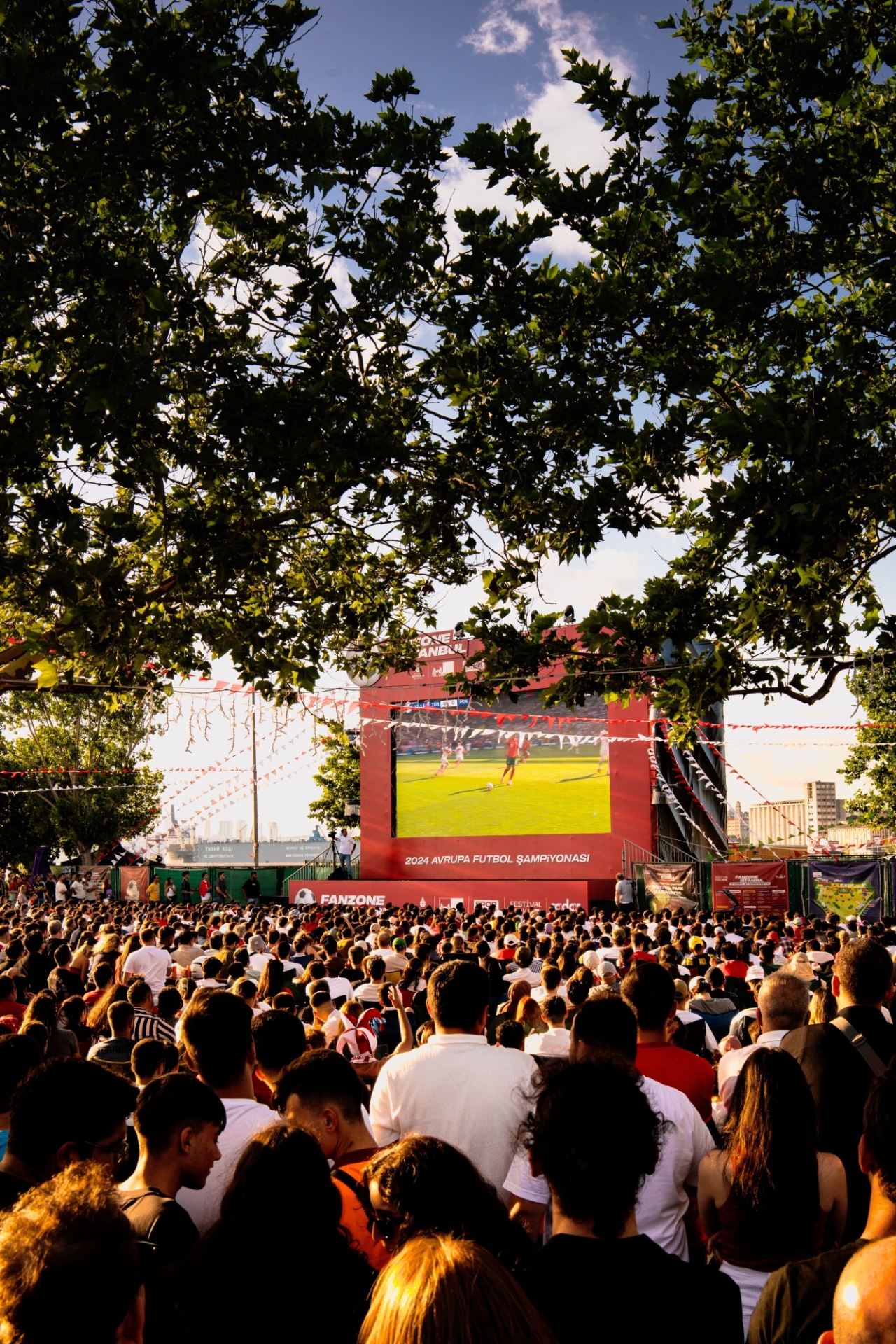 Public Viewing beim Fußball