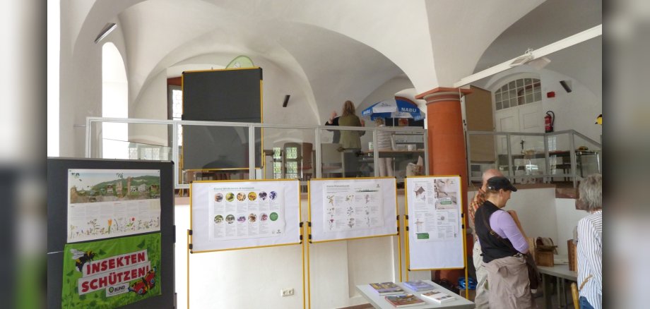 Wildbienenausstellung