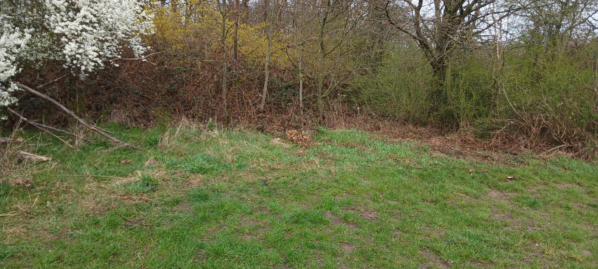 Der Bauhof hat den Müll fachgerecht und spurlos entsorgt