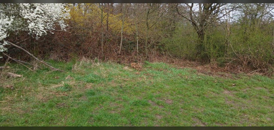 Der Bauhof hat den Müll fachgerecht und spurlos entsorgt