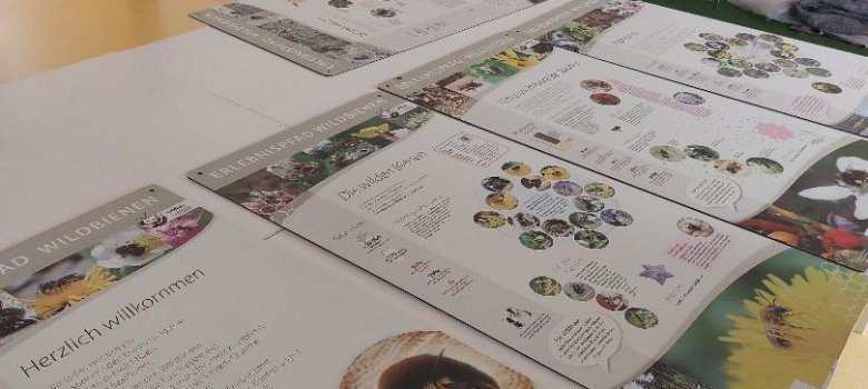 Foto: Informationen an Stellwänden