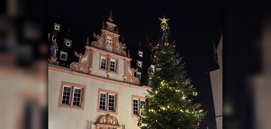 Weihnachtsbaum