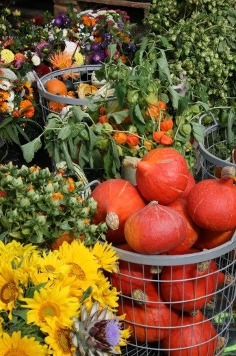 Heimisches Obst und Gemüse