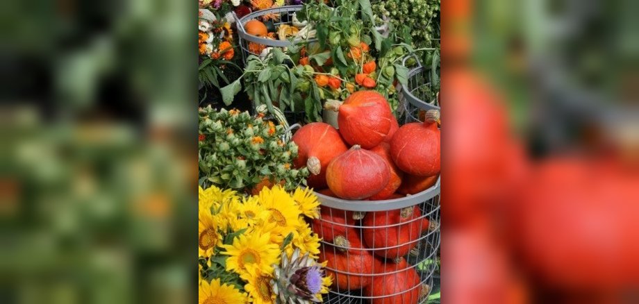 Heimisches Obst und Gemüse