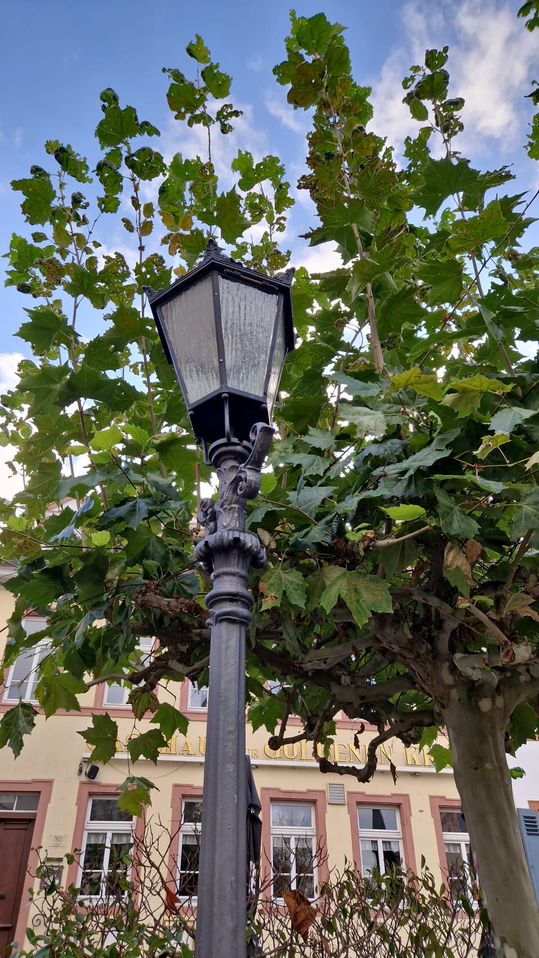 Straßenlaterne vor Stadtbaum